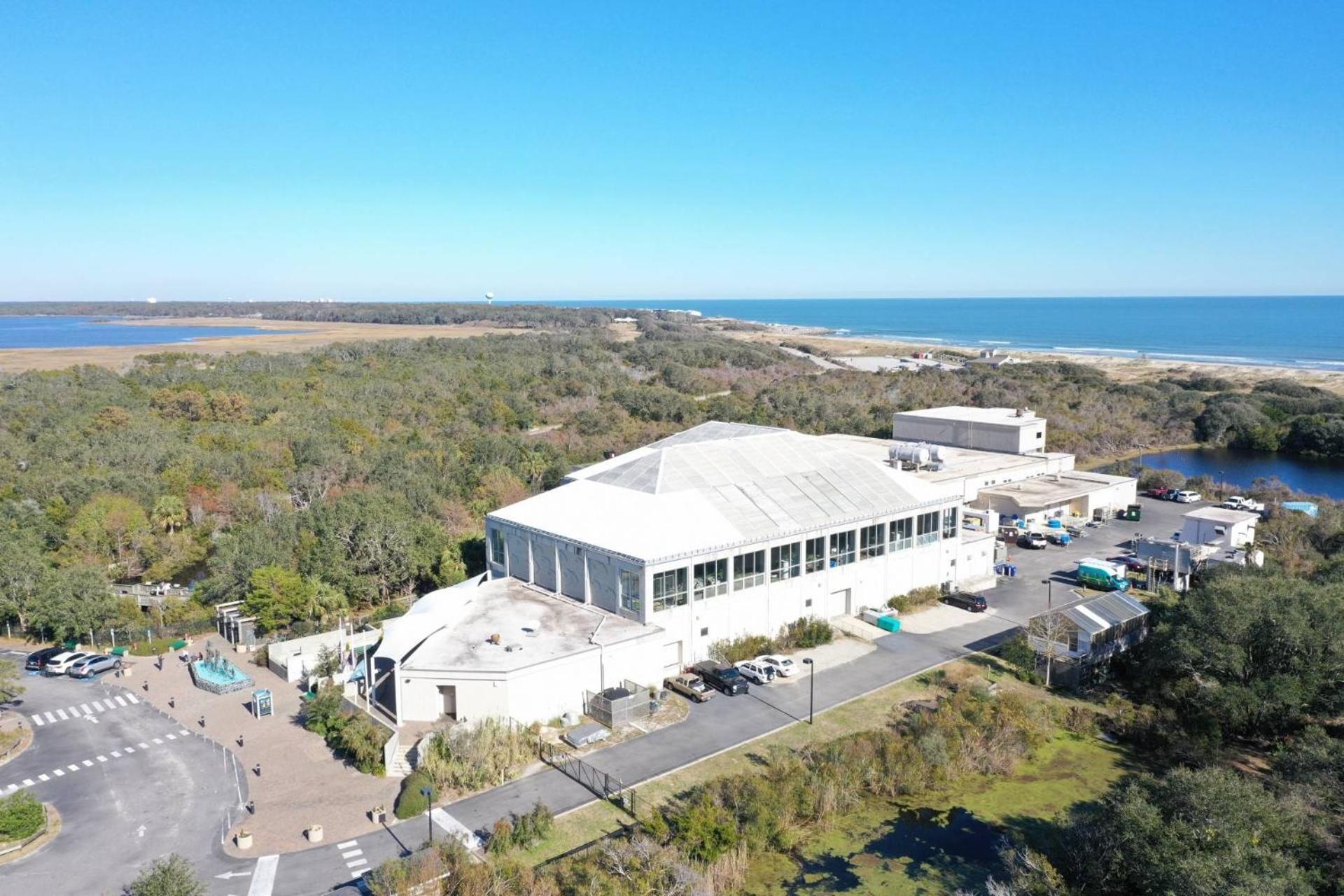 Villa Sea Turtle'S Nest Carolina Beach Exterior foto